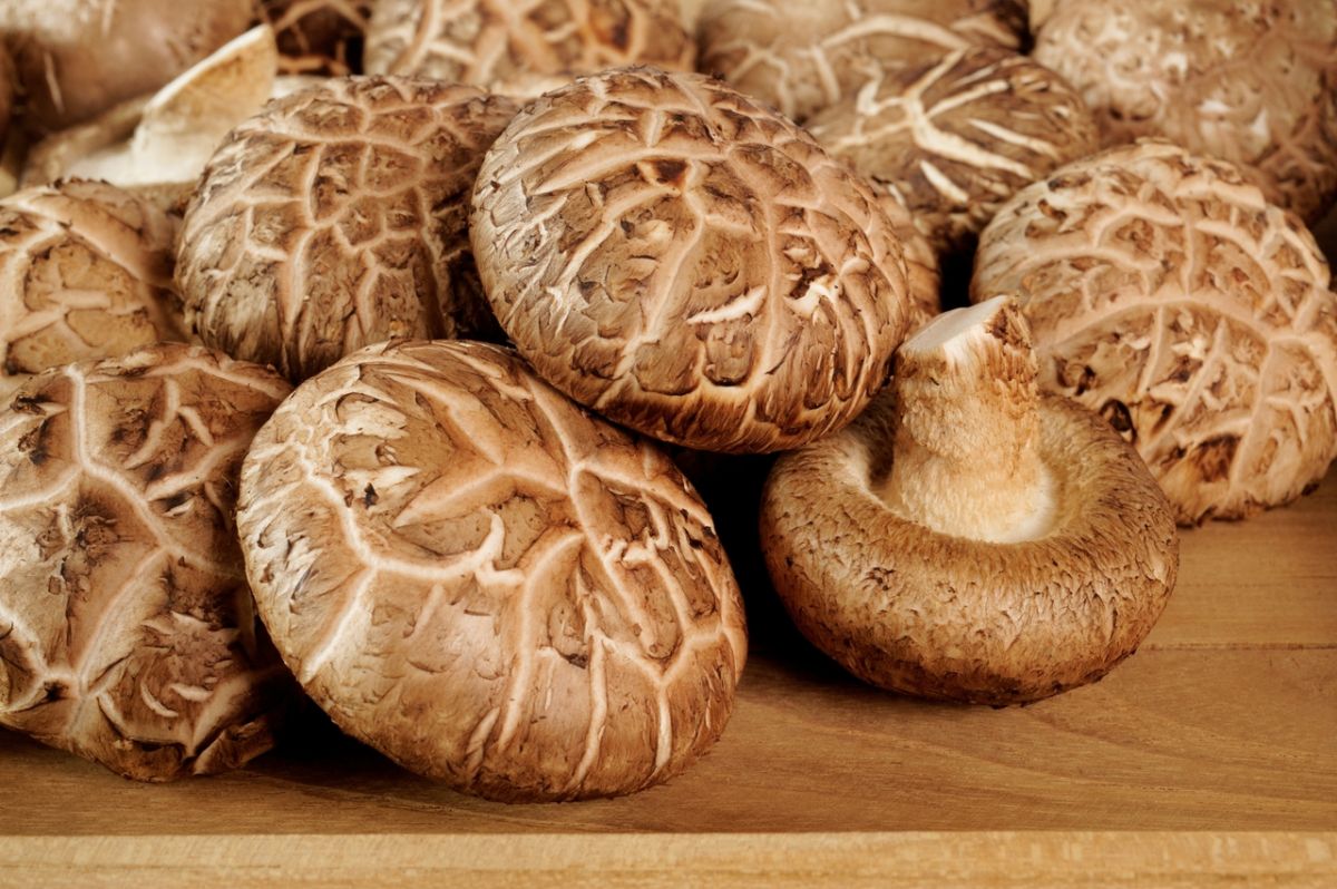 Augmenter la vitamine D de vos champignons avec cette astuce simple