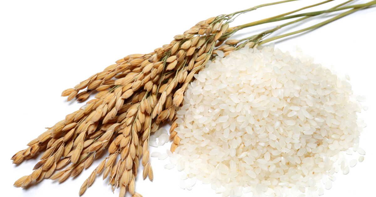 les 5 variétés de riz à redécouvrir dans vos assiettes