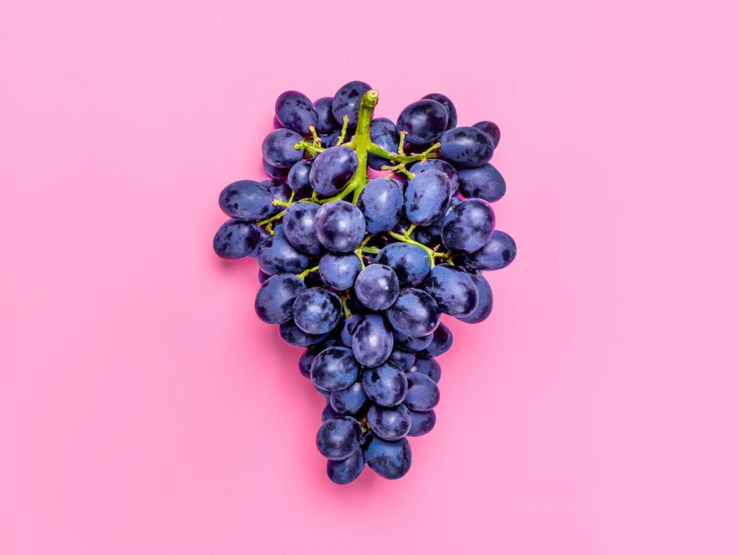 10 aliments incontournables pour leur richesse en polyphénols