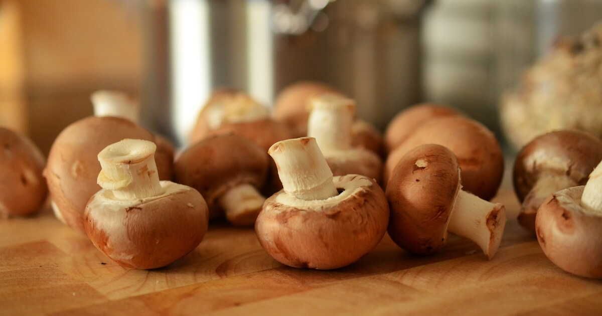 Comment bien choisir les champignons ?