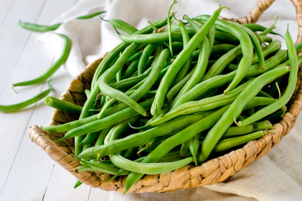 Comment éviter les haricots verts filandreux : nos conseils d'achat