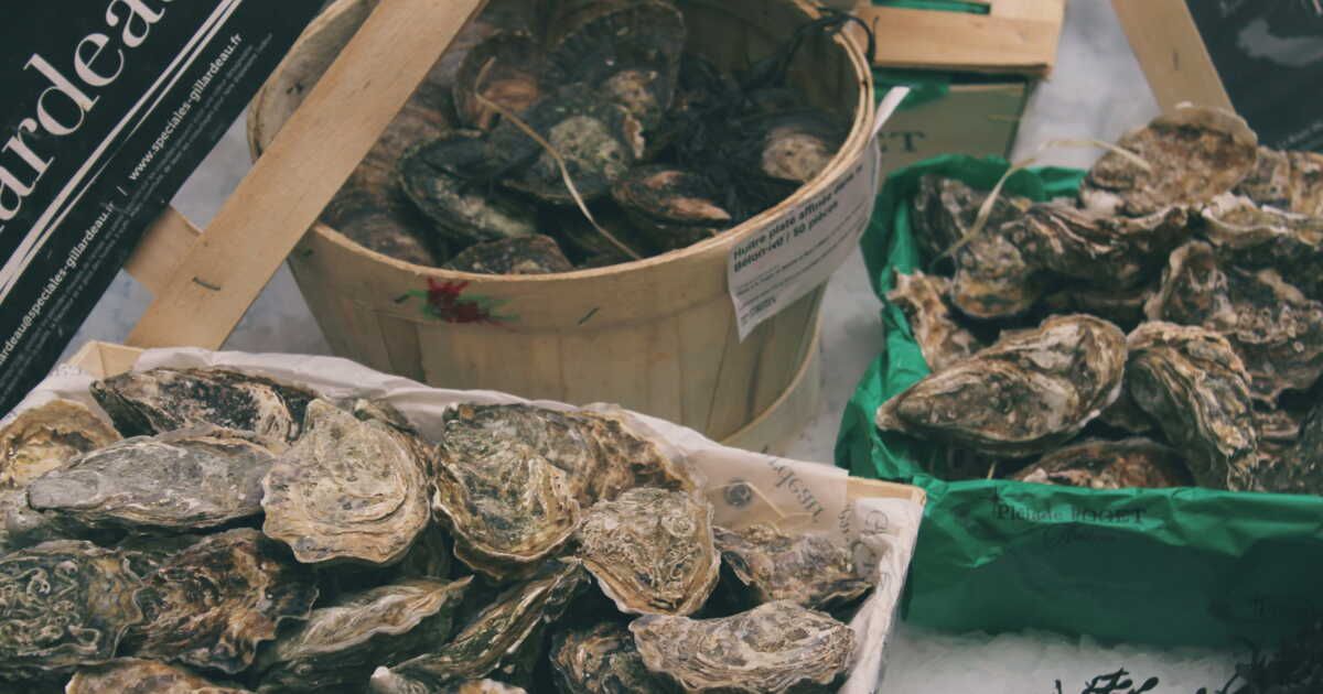 Huîtres : explorez 7 variétés incontournables