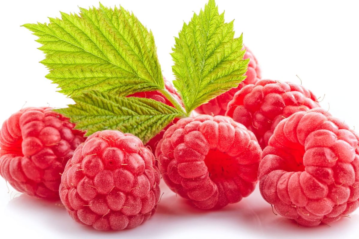 Les délices estivaux de juillet