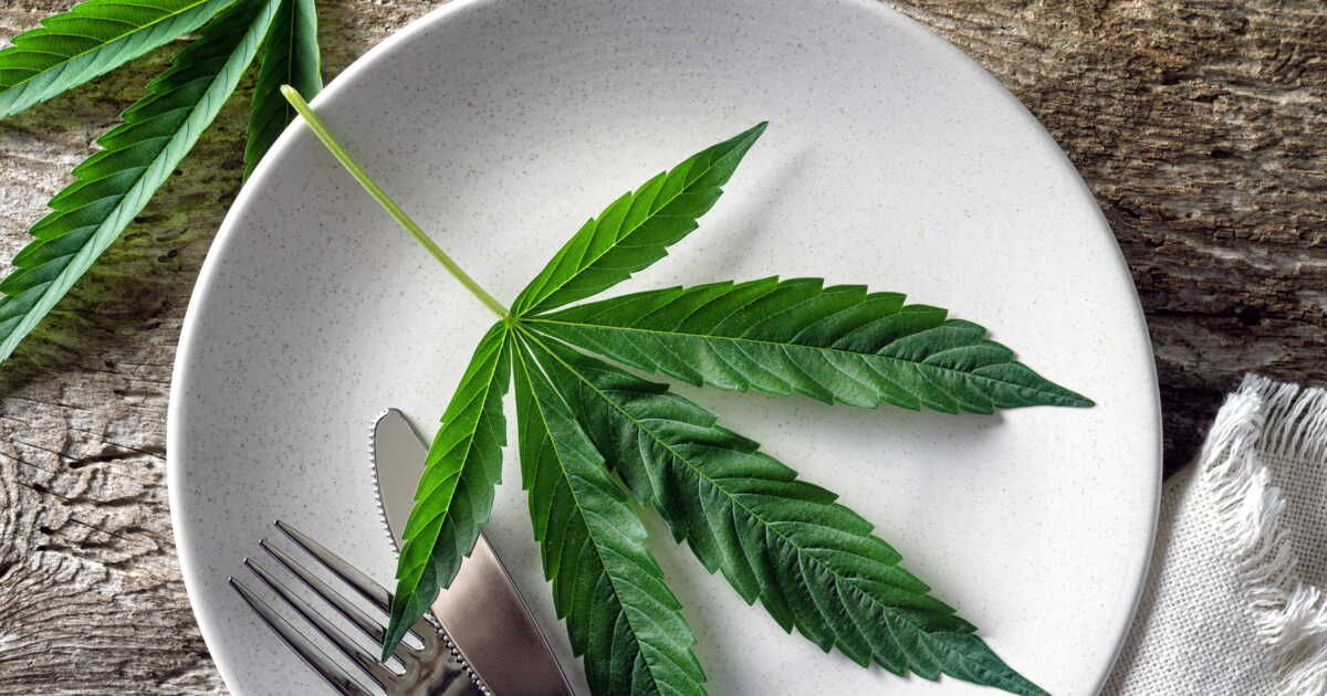 Le chanvre s'invite dans nos cuisines : découvrez ses bienfaits