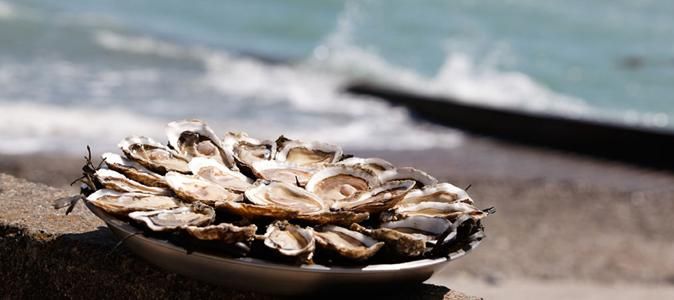 Huîtres : le guide ultime pour les gourmets