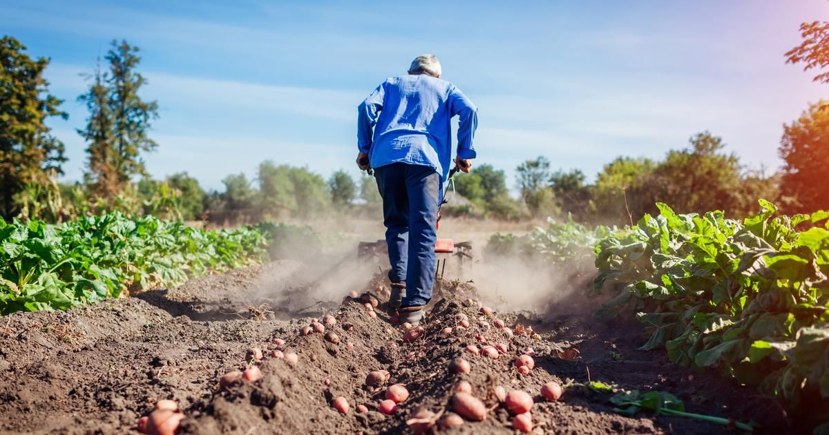 Cadmium : un danger silencieux pour notre santé