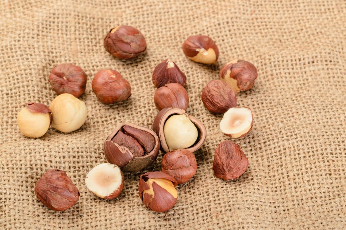 Les secrets pour monder facilement vos noisettes