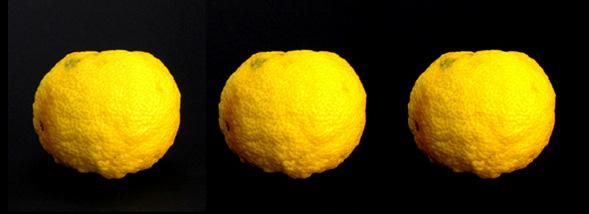 Le yuzu, l'agrume qui séduit les maisons pâtissières