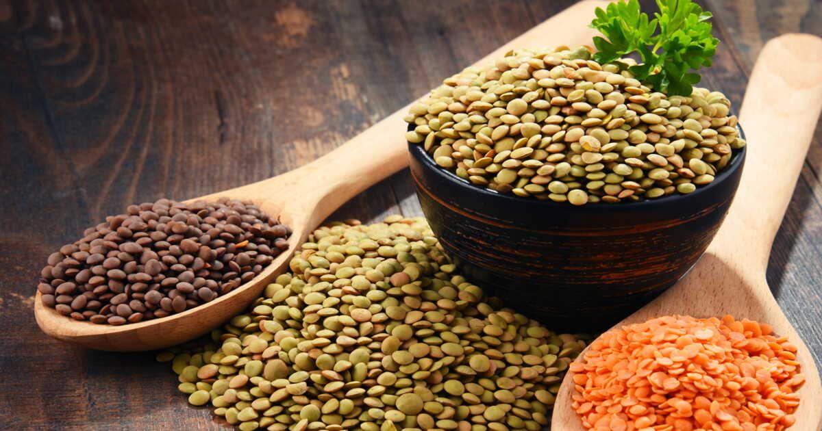 découvrez les 6 variétés de lentilles qui vont éveiller vos papilles