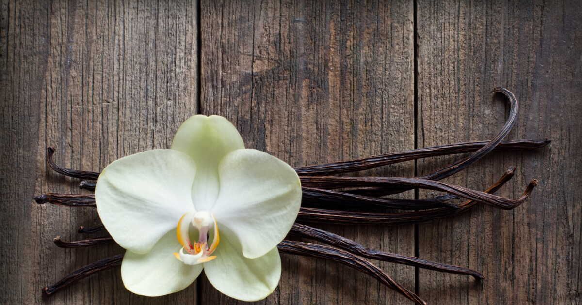 4 conseils pour choisir sa vanille