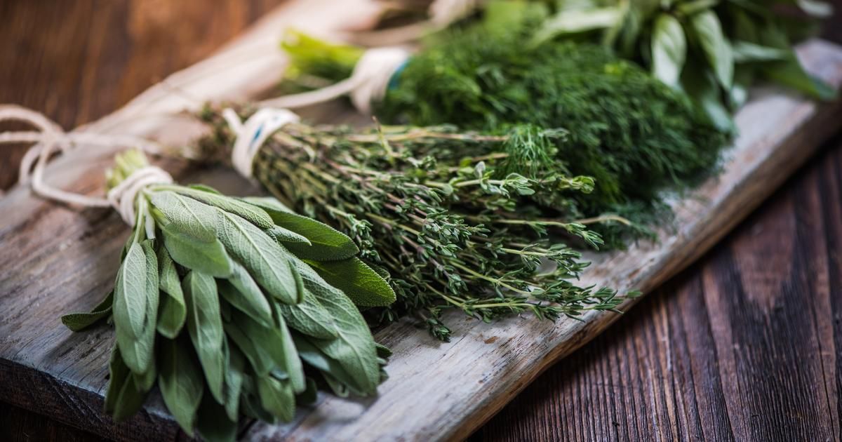 Astuces pour conserver vos herbes aromatiques toute l'année