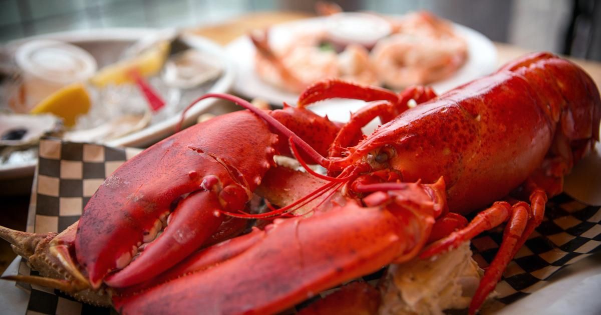 Distinguez homard, langouste et langoustine : le guide essentiel pour vos repas