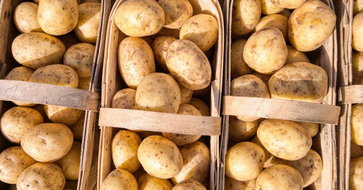 Découvrez la pomme de terre idéale pour vos plats préférés