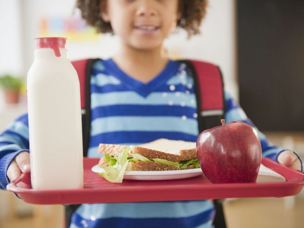 La loi Climat impose des menus végétariens dans les cantines scolaires