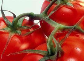 Défi culinaire : valorisez vos tomates cet été
