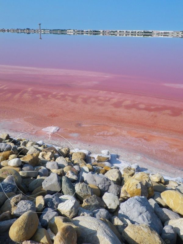 À la découverte de la fleur de sel de Camargue