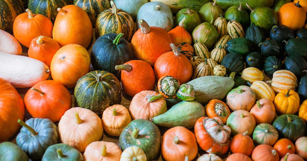 Les courges à déguster avec leur peau : un guide savoureux