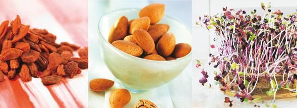 Les superaliments à adopter sans hésitation