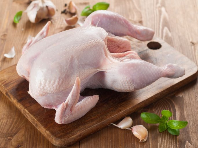 Infections alimentaires : les poulets sous la menace des bactéries