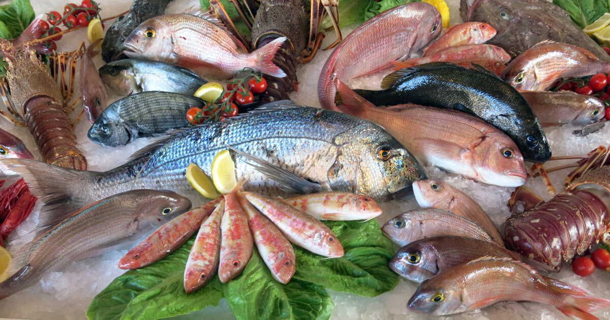 Comment bien choisir son poisson : guide pratique
