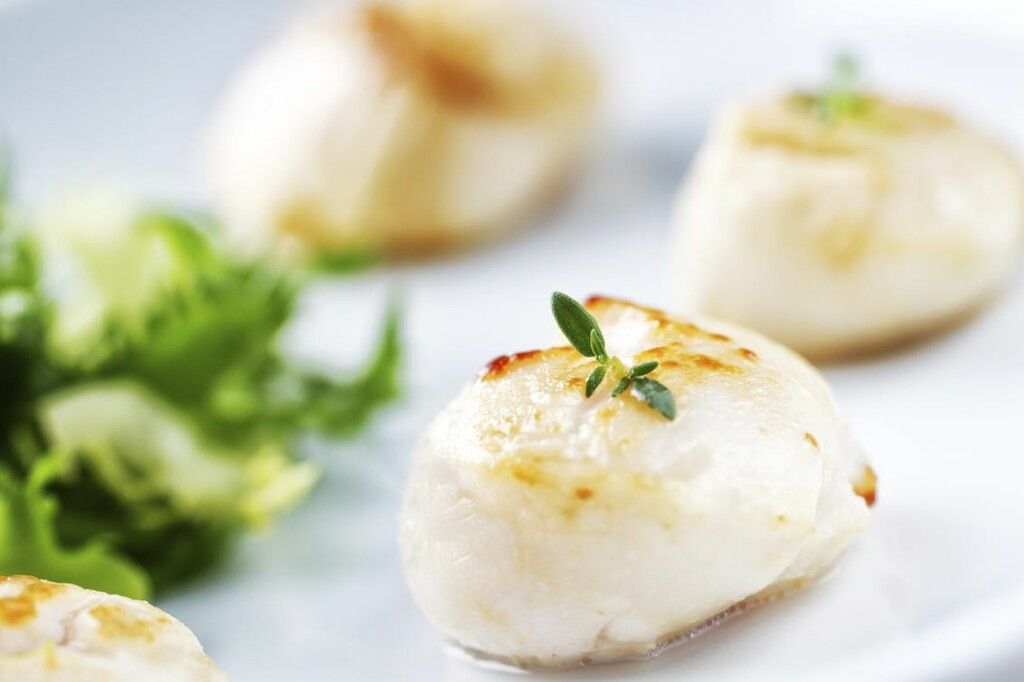 À la découverte des meilleures coquilles Saint-Jacques à Paris